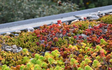 the cost of Prestwood green roof installation